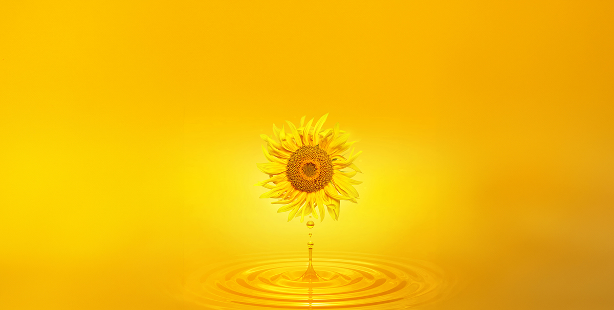 Sunflower Oil Bulk Transport: Why High-Capacity Flexitanks Are Redefining Freight Efficiency