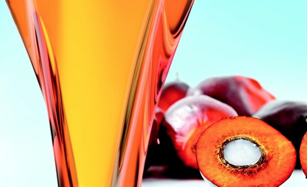 Are You Transporting Palm Oil? Here’s What You Need To Know