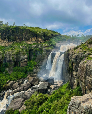 wine producing countries