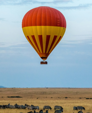 wine producing countries